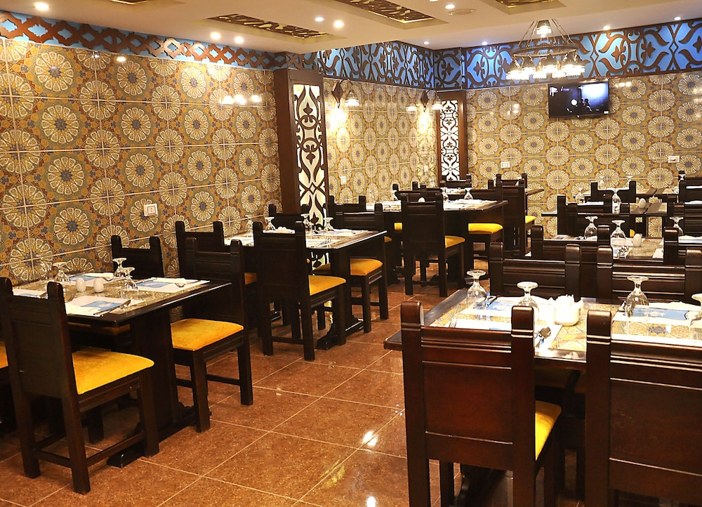 New Star Zamalek 33/50