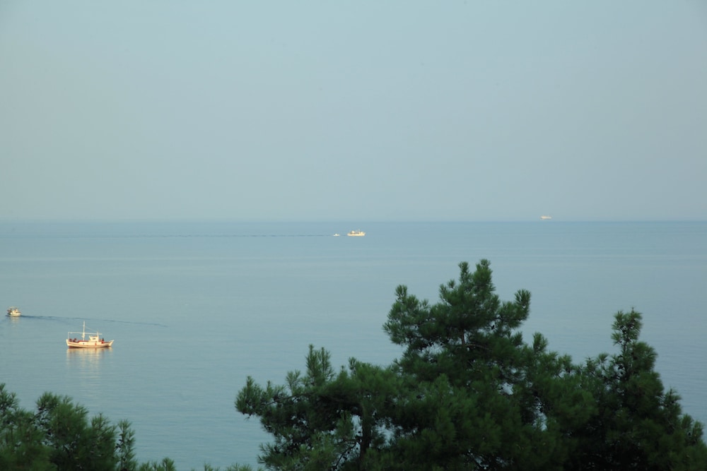 Tosca Beach Hotel 40/50