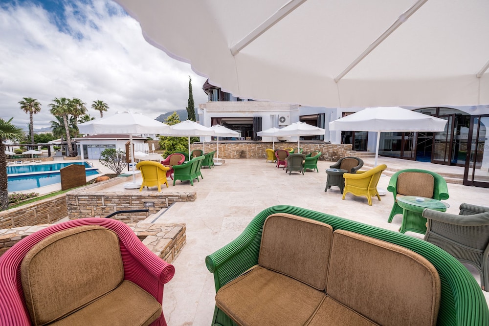 The Olive Tree Hotel 24/50