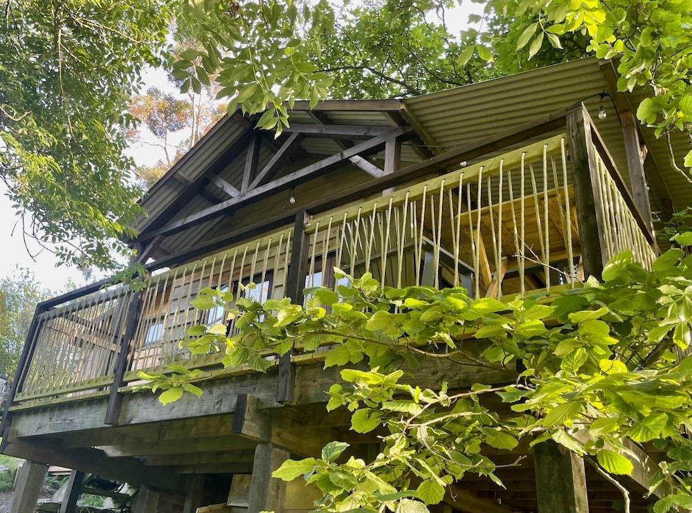 Owl Lodge photo5