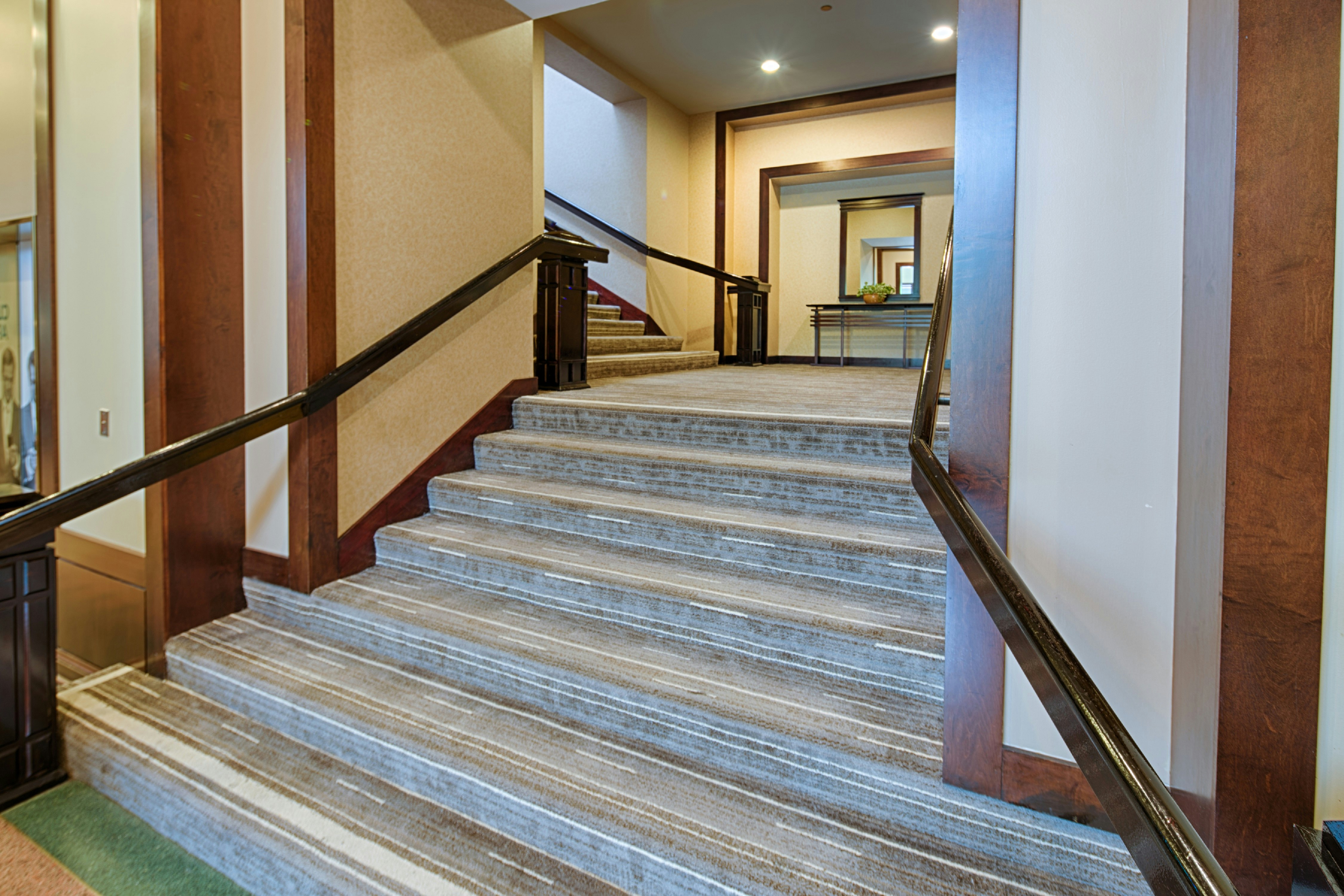 Embassy Suites by Hilton Chicago O'Hare Rosemont 26/64
