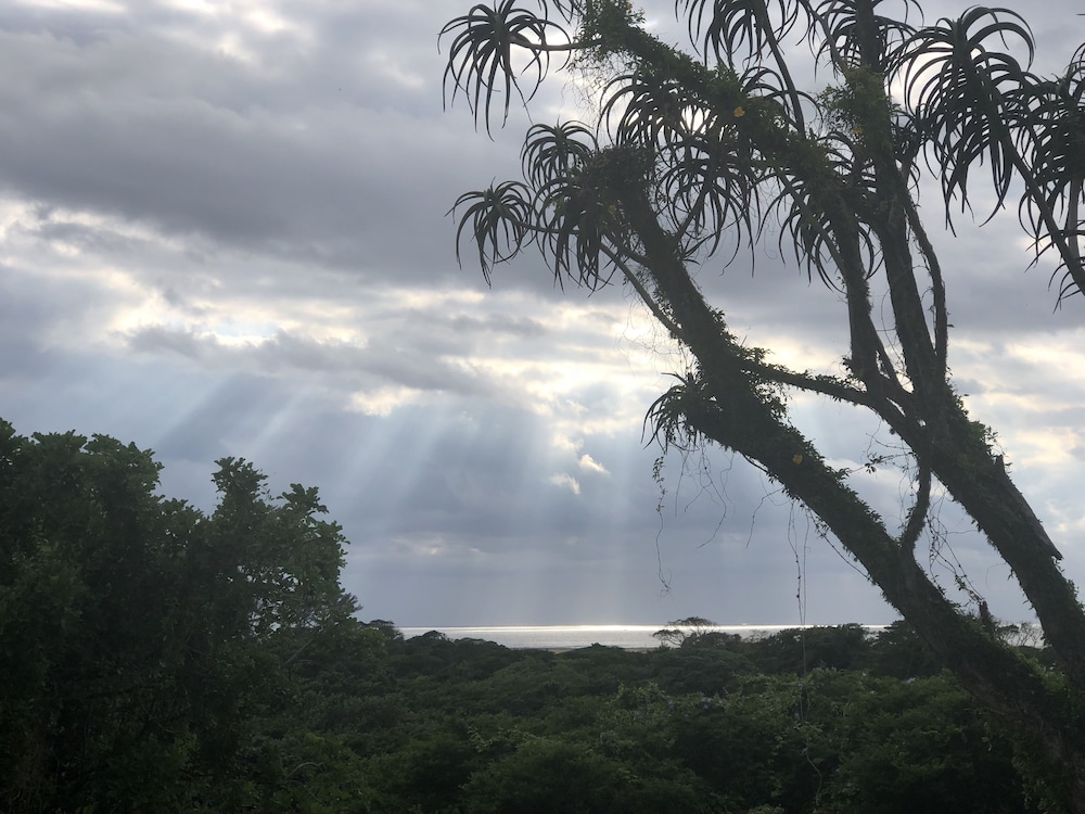 Ingwenya Lodge 41/50
