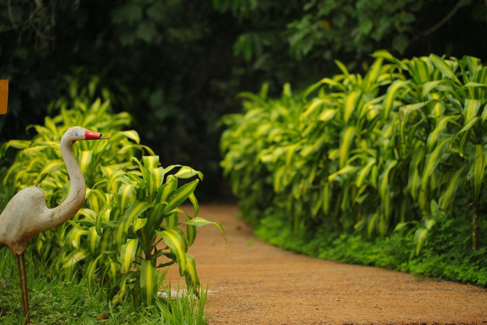 Vivaz Cataratas Hotel Resort 61/63