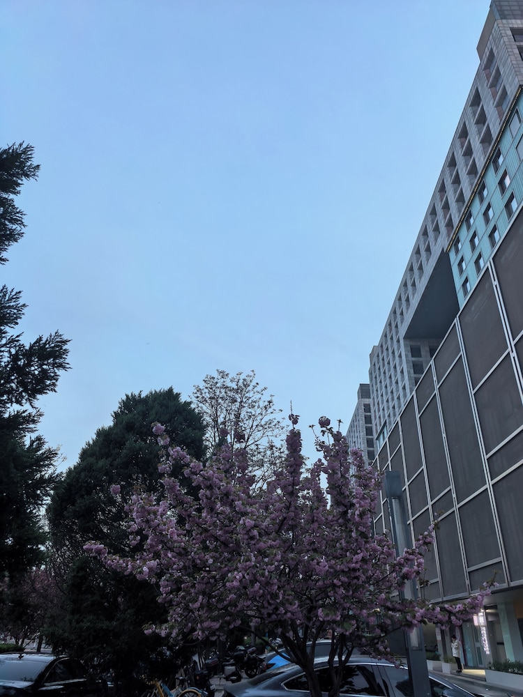 北京 宜楽家 アパートメント 写真2