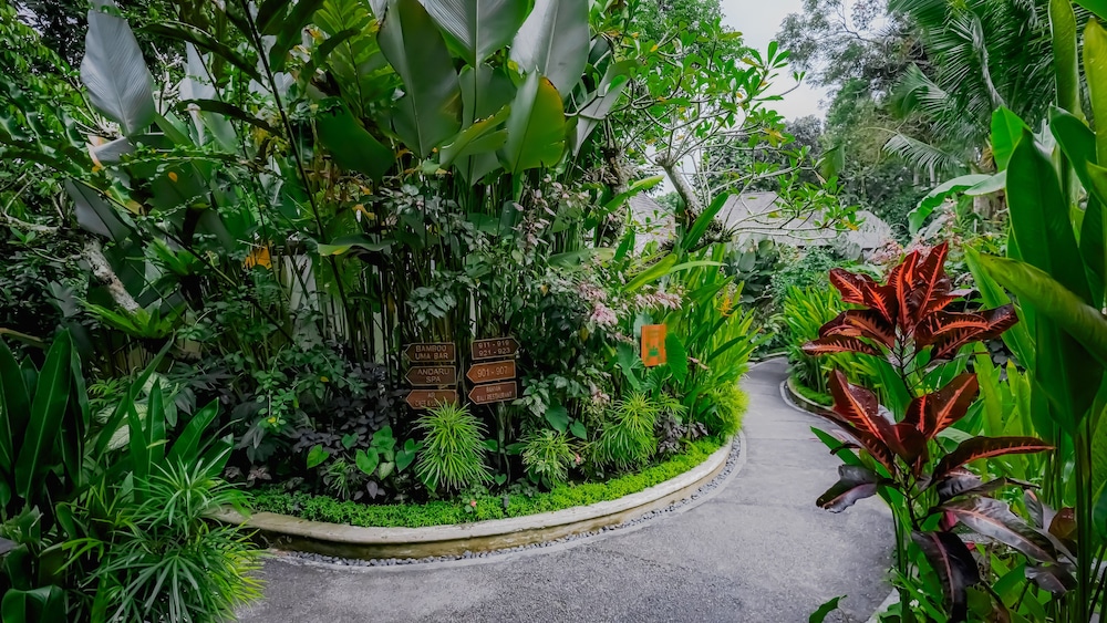 The Sebali Resort 39/50
