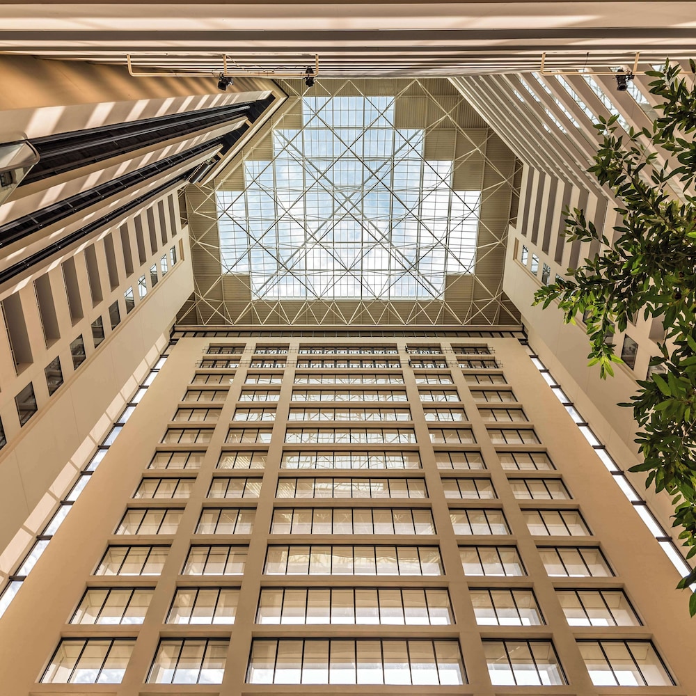 丝柏凯悦丽晶大酒店(Hyatt Regency Grand Cypress Hotel) 图片5