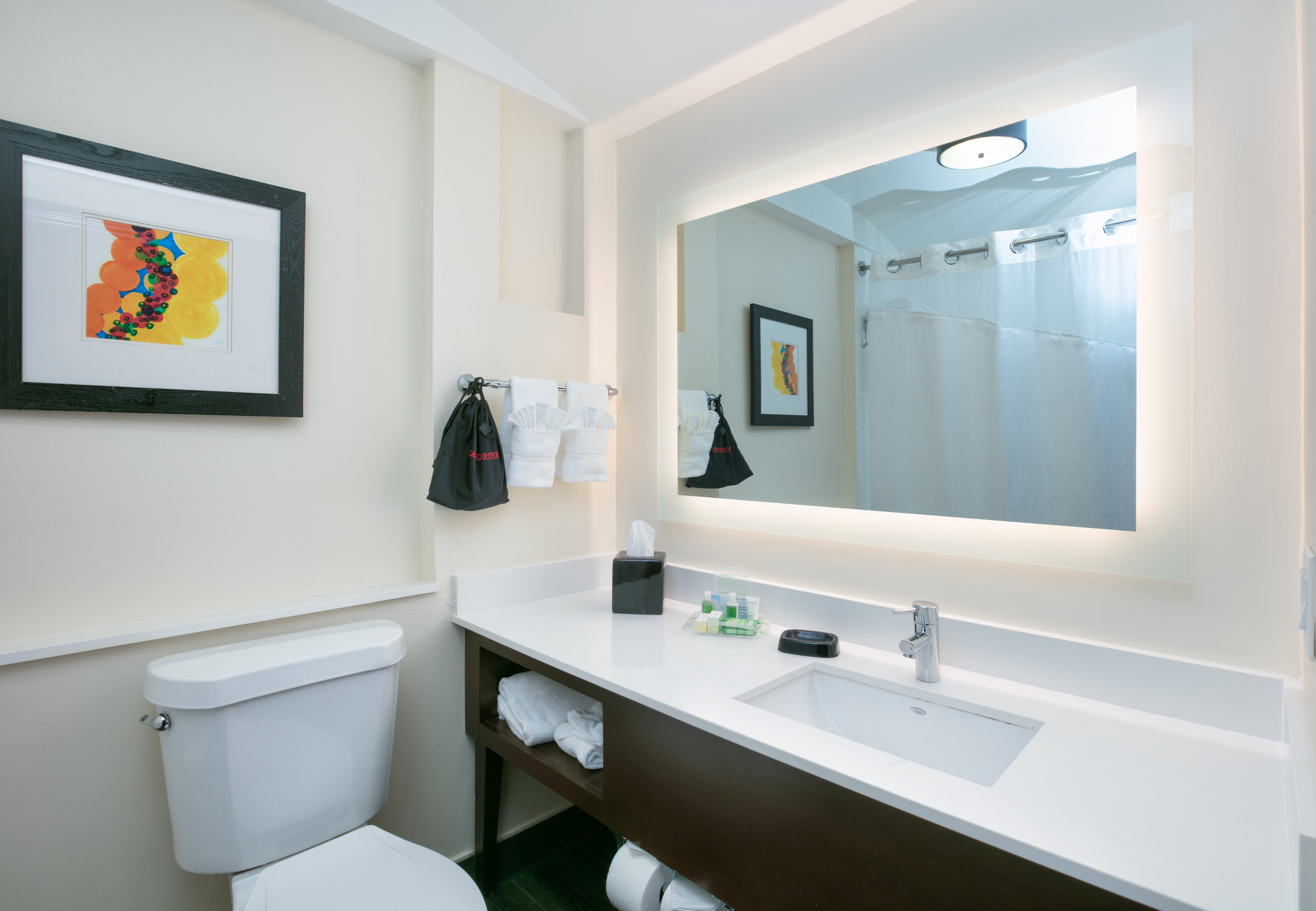 Holiday Inn Dfw South 62/64