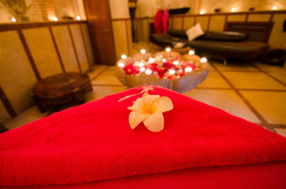 Lodge K Hôtel &amp; Spa 59/77