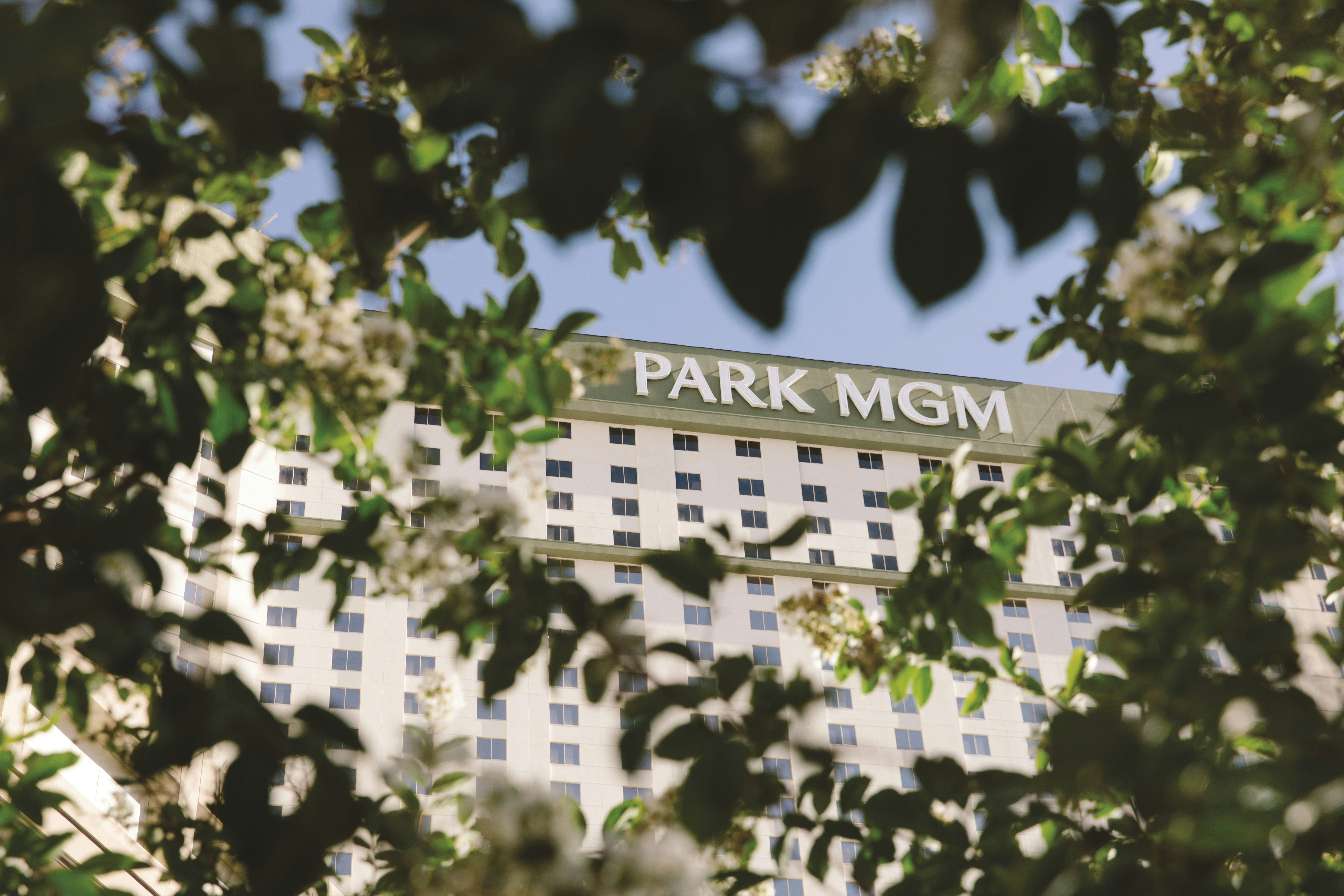 Park MGM Las Vegas 5/77