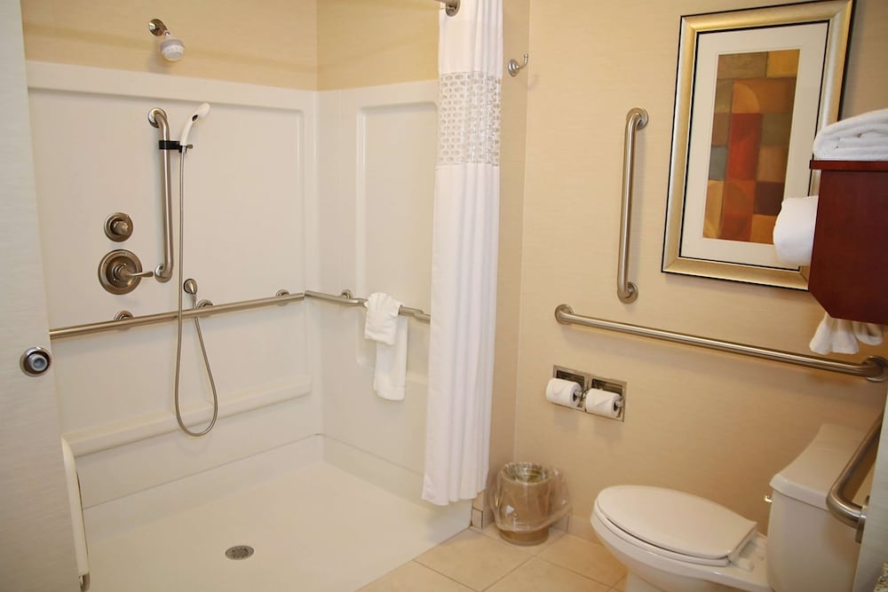Hampton Inn Detroit North Auburn Hills 19/45