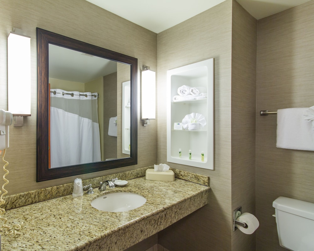 Holiday Inn Express Hotel And Suites Auburn 14/42