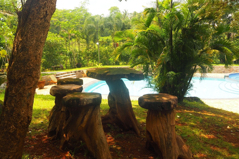 The Gecho Inn Country 25/50