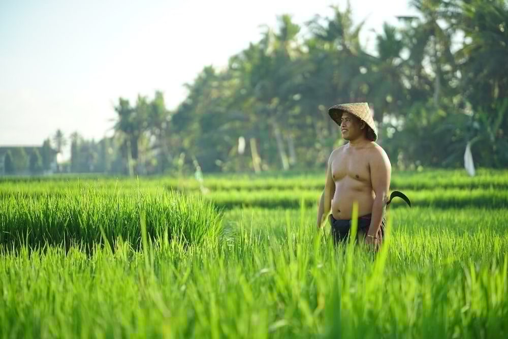 Asri Sari Villa Ubud 40/50