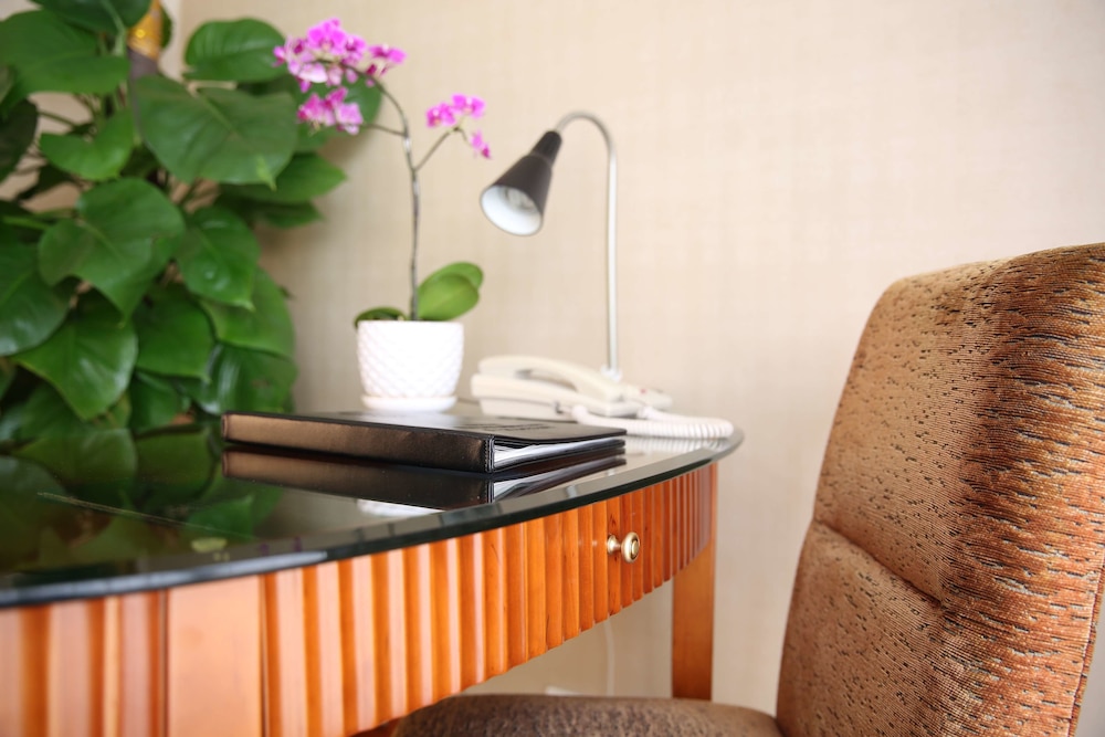 Felicity Hotel Shenzhen, Luohu Railway Station 38/75