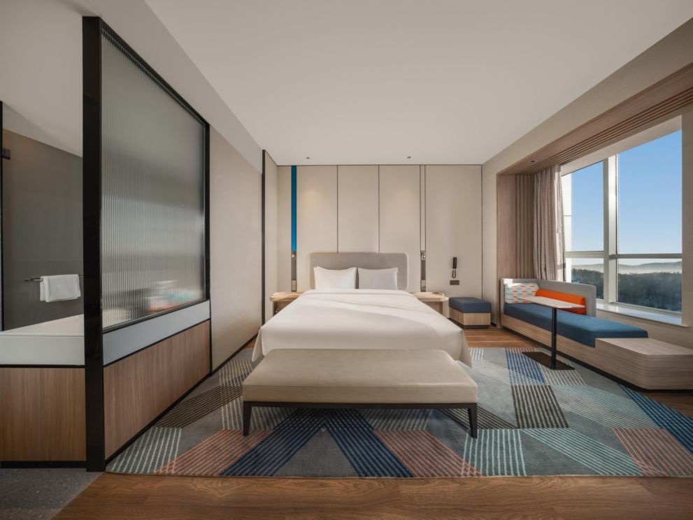 Room, King Bed