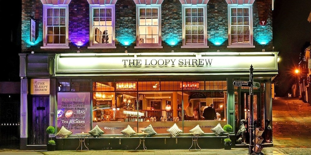 The Loopy Shrew 3/50