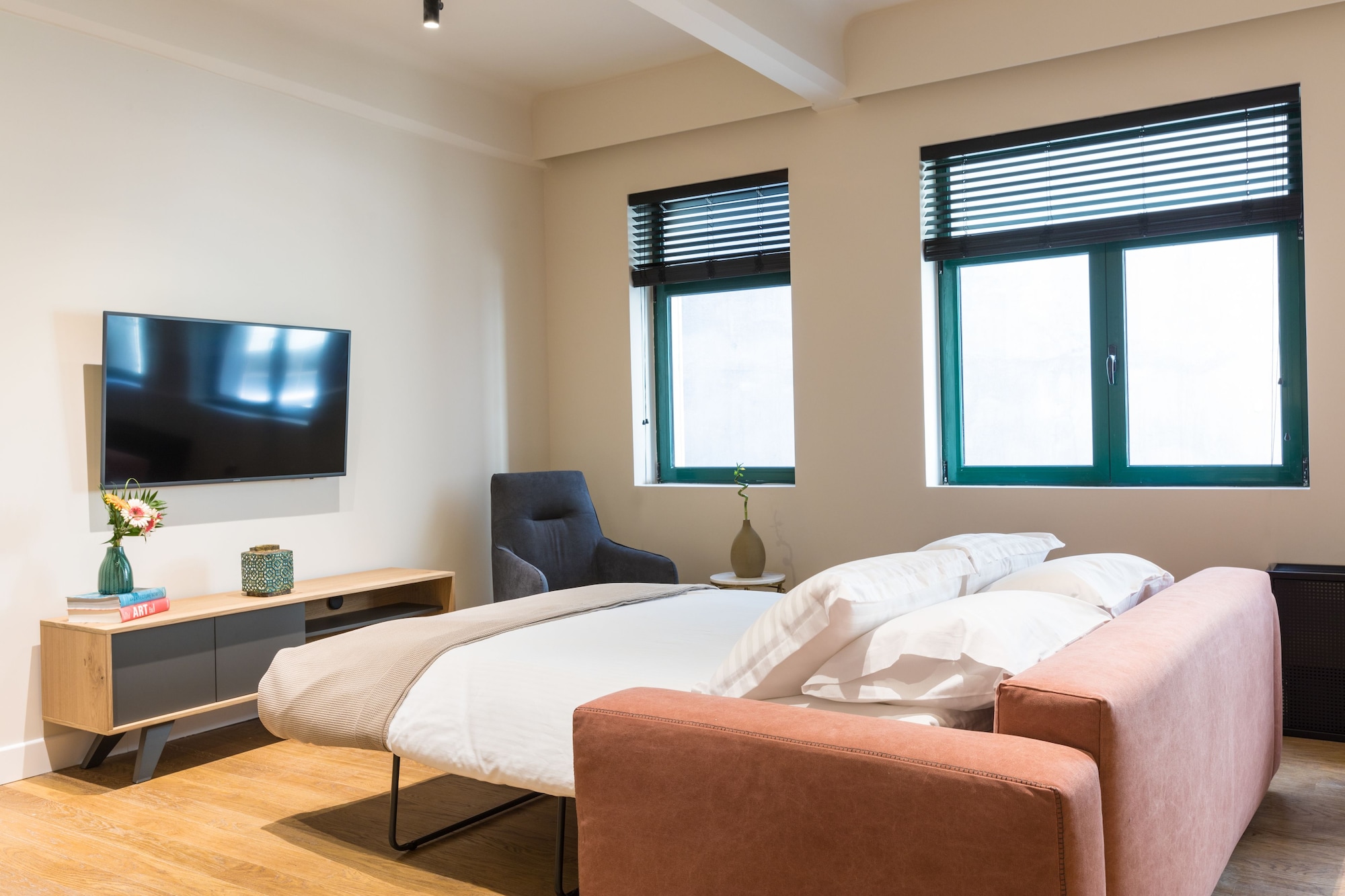 DELUXE, APARTMENT