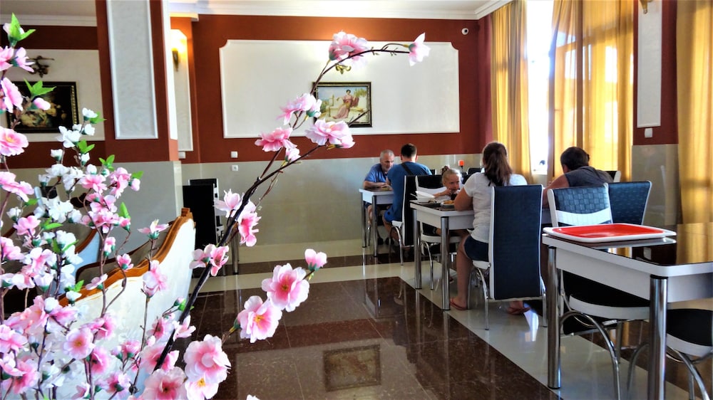 Ritsa Resort 45/70