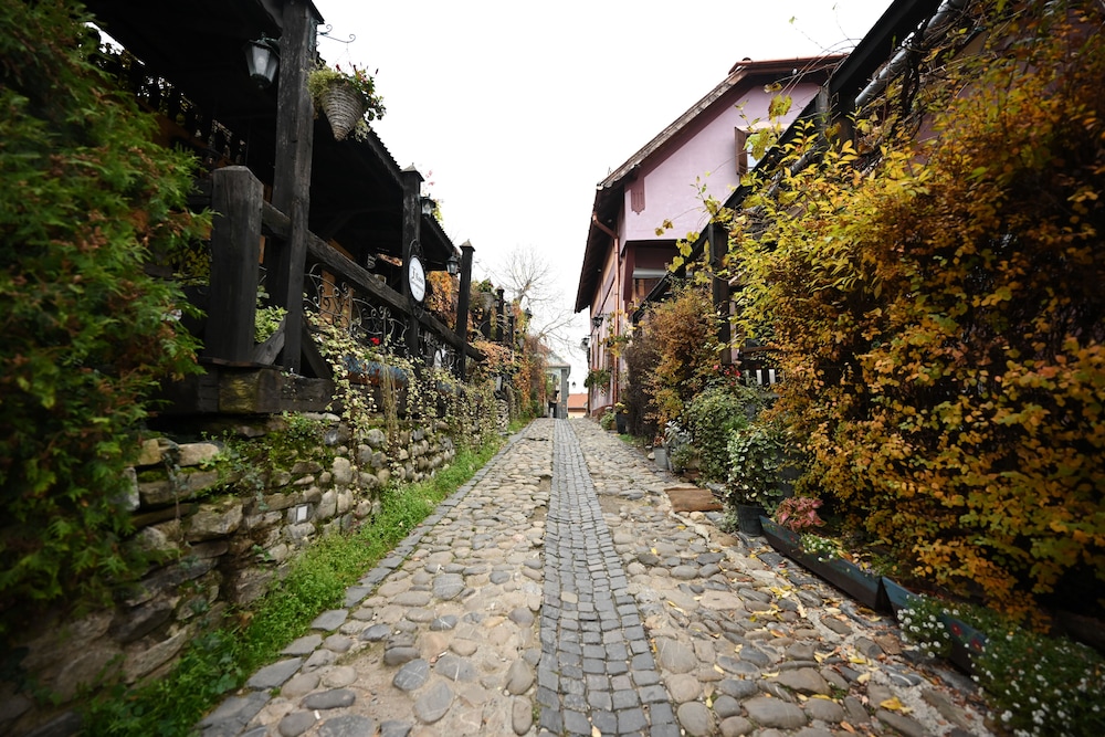 Mercure Sighisoara Binderbubi Hotel And Spa 80/83
