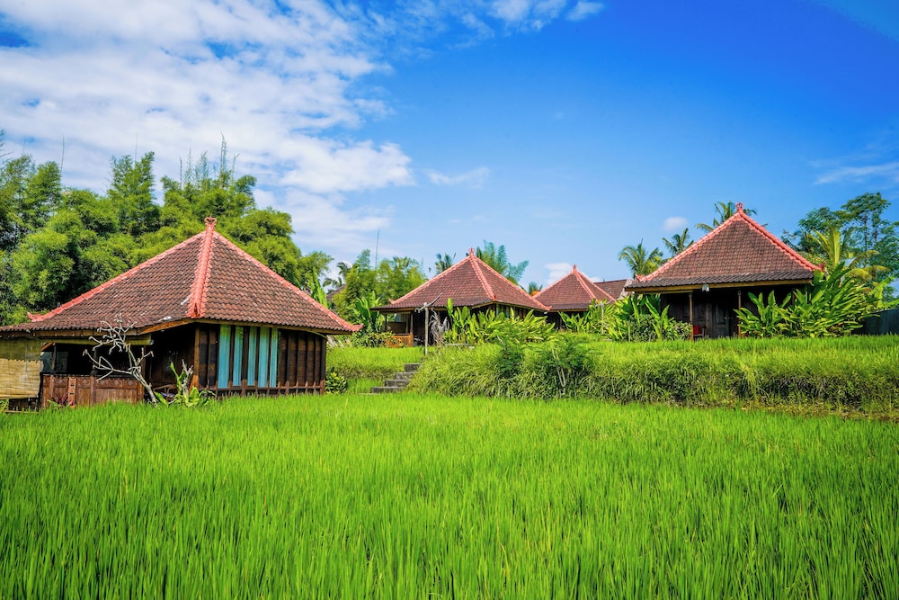 Ubud Sawah Homestay 43/50