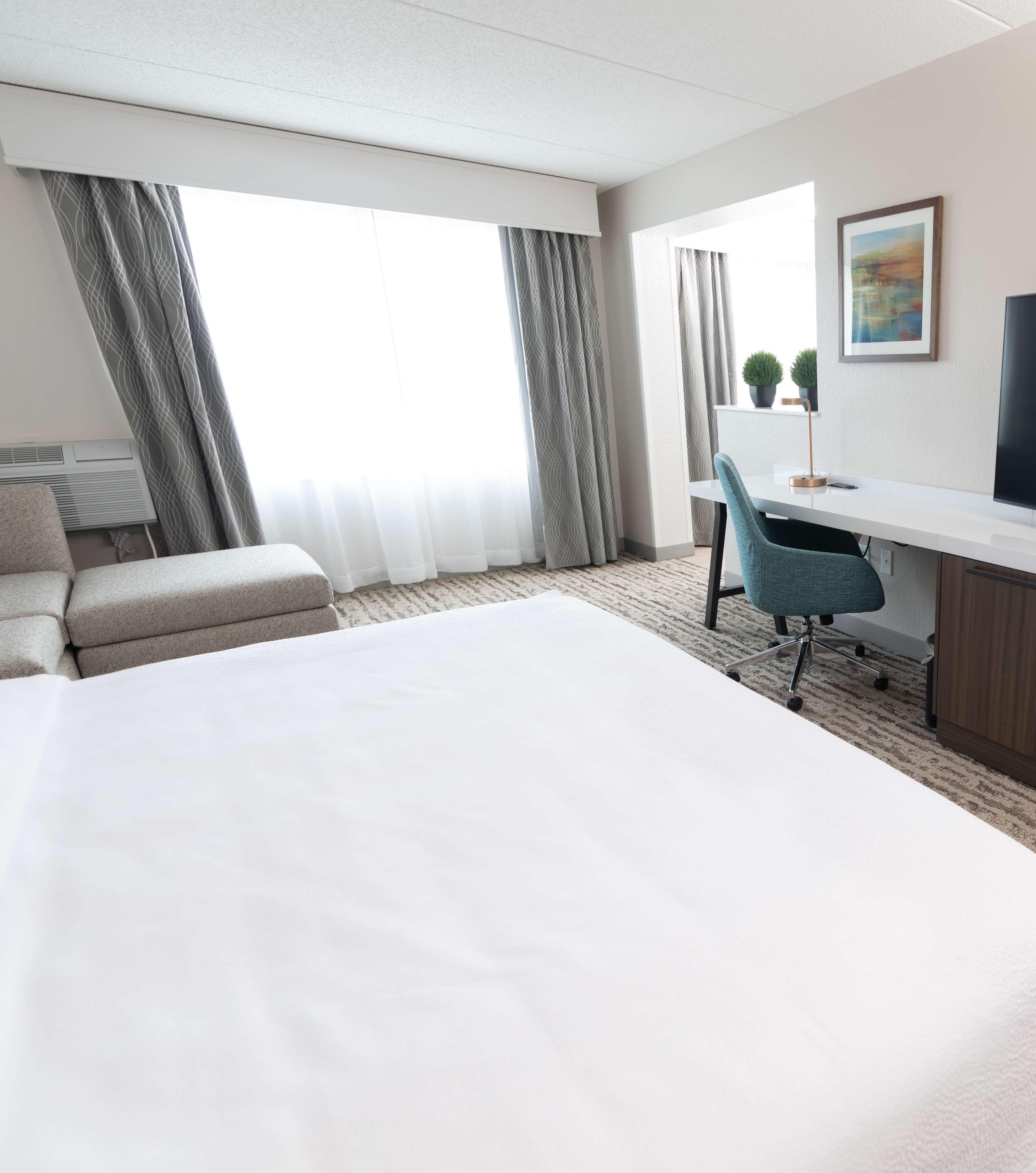 SUITE, KING BED
