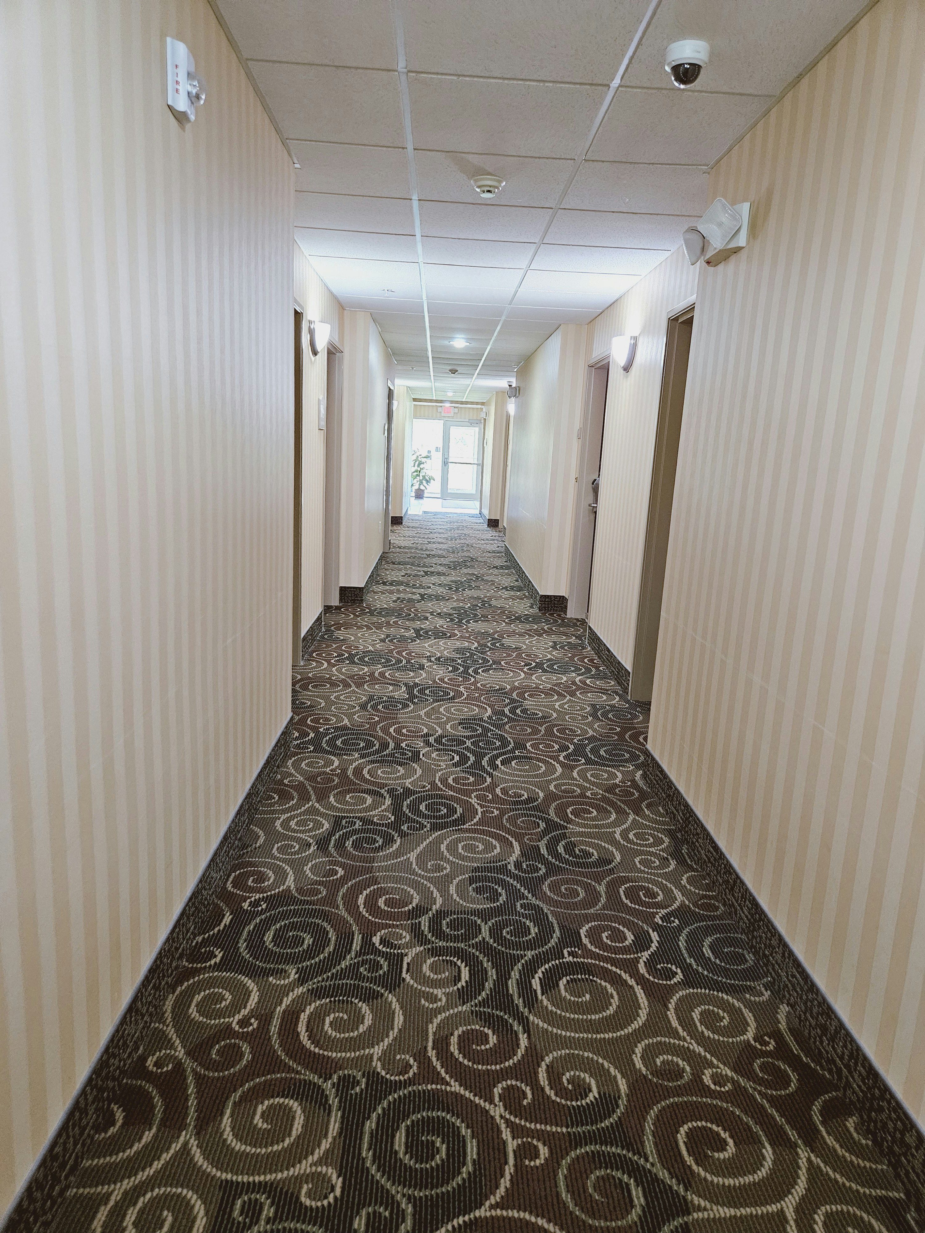 Cobblestone Inn & Suites -- Bloomfield, IA 16/30
