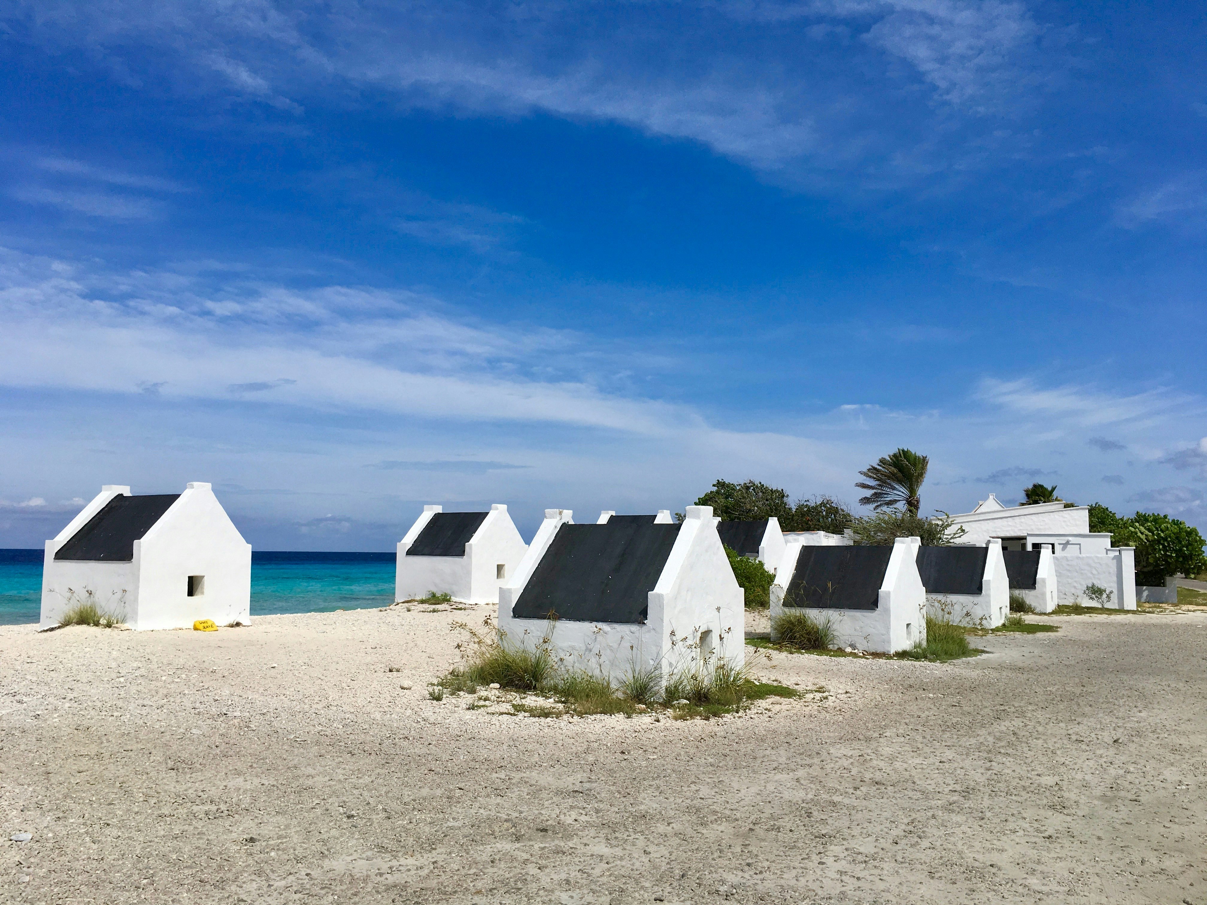 Delfins Beach Resort Bonaire, Tapestry Collection by Hilton 22/34