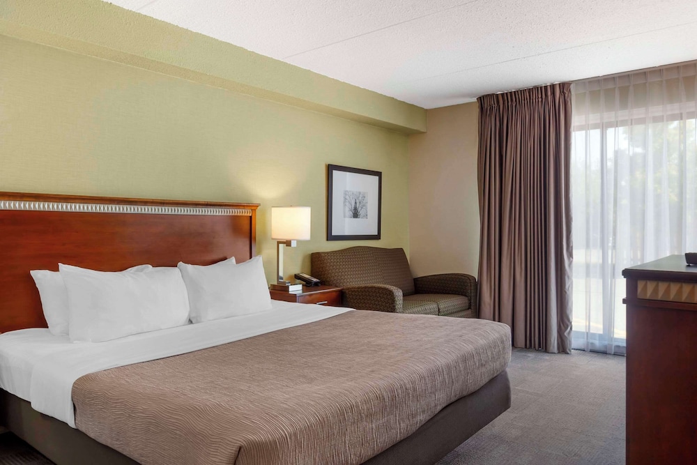 Upgrade, Suite, King Bed