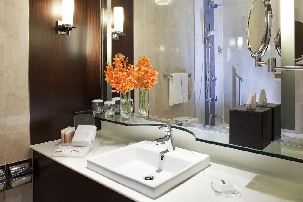 Holiday Inn Singapore Orchard City Centre 21/73