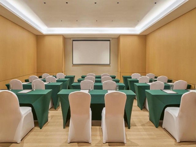 Hilton Garden Inn Guangzhou Huangpu Luogang Science City 8/9