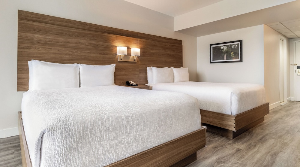 INTERIOR, 2 QUEEN BEDS, SOFA