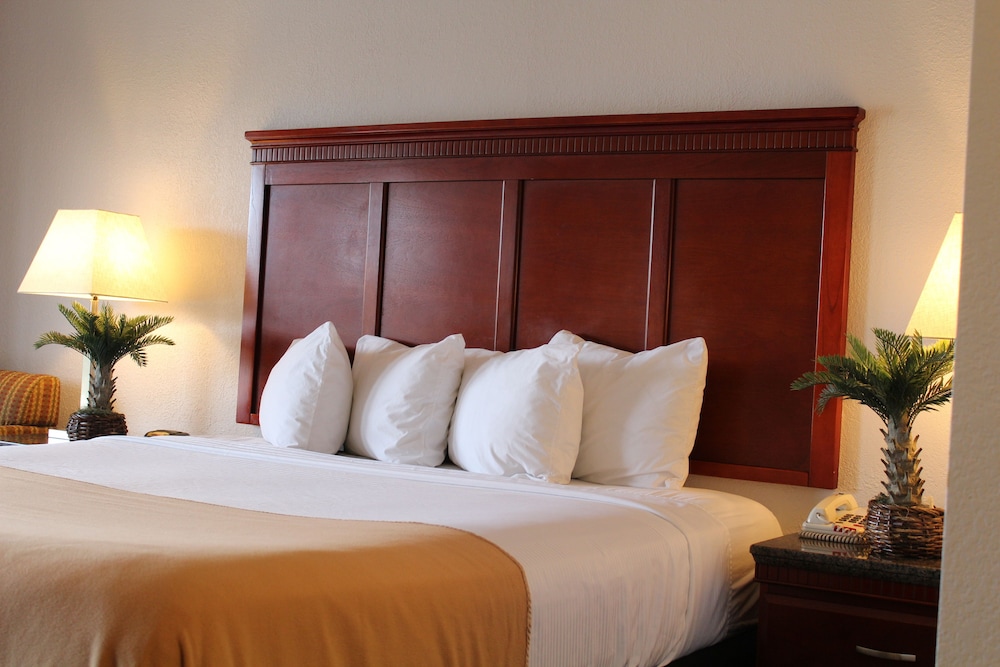 Rodeway Inn Santa Clara El Camino Real 14/21