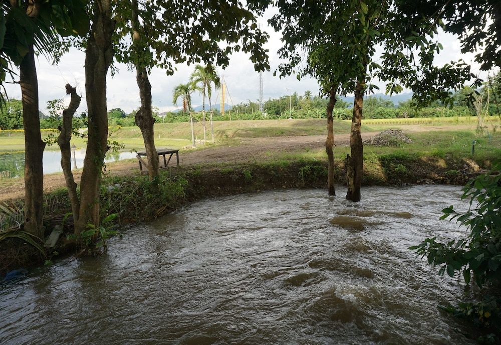 Ban Suan Tawan Chiang Dao 34/50