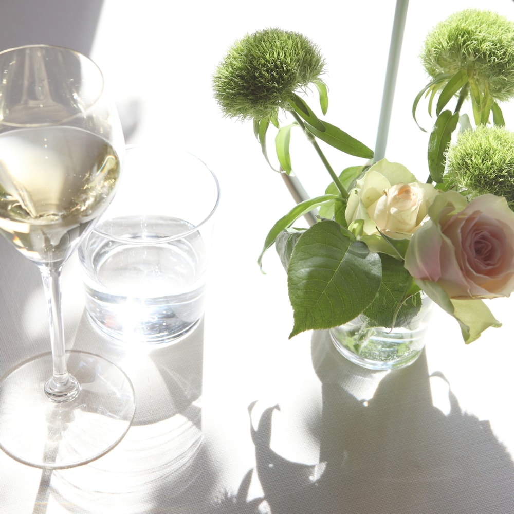 RELAIS LE BETULLE 19/51