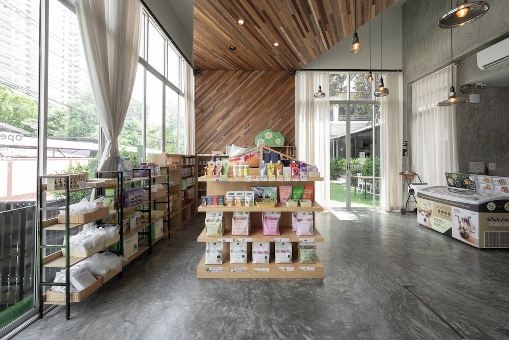 Ketawa Pet Friendly Hotel and Cafe (ex Ketawa Stylish Hotel) 31/43