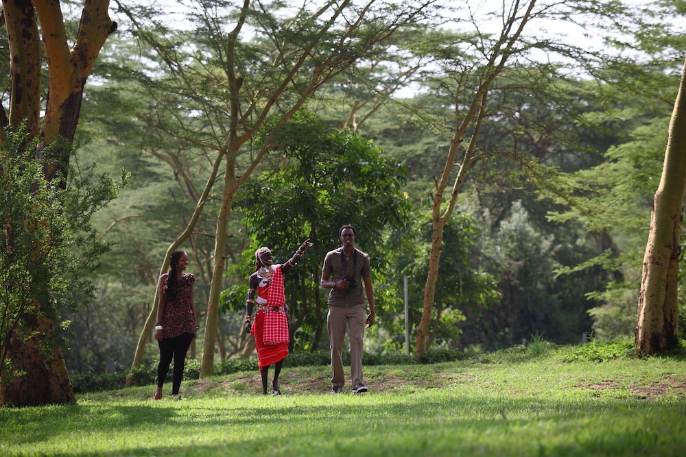 Sarova Lion Hill Game Lodge 55/68