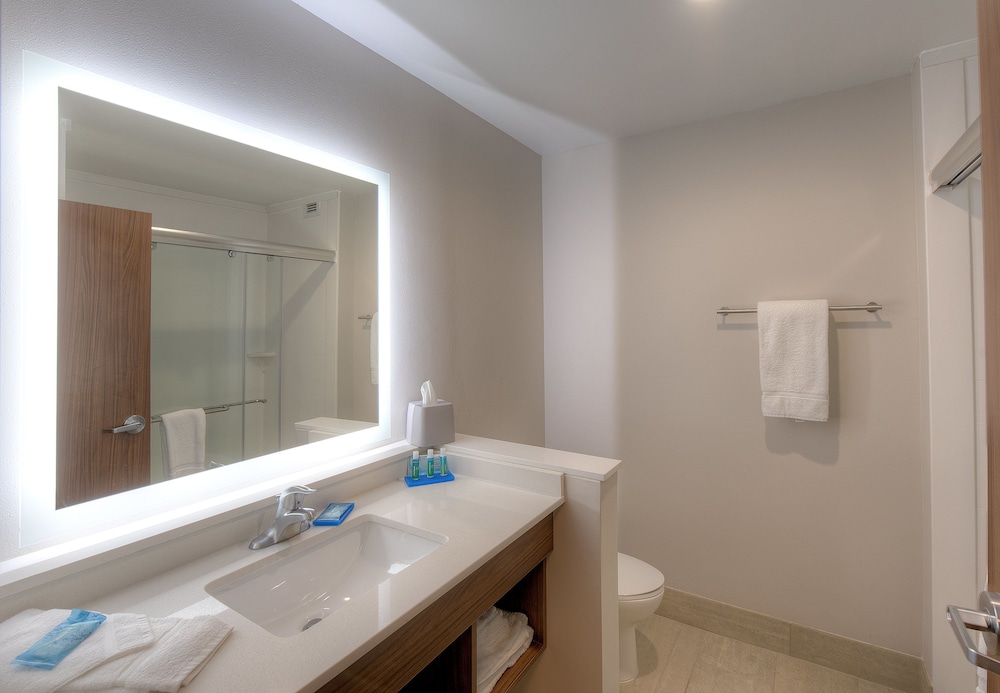 Holiday Inn Express Suites Fort Mill 21/62