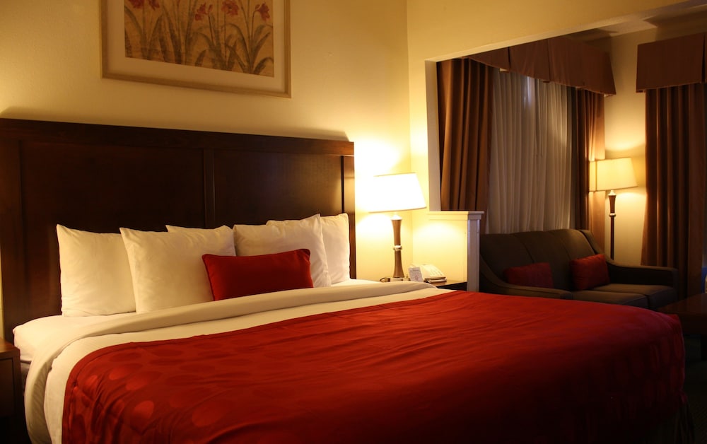 جناح بسرير كينج بغرفة نوم واحدة، Ramada By Wyndham Denver International Airport 3/8