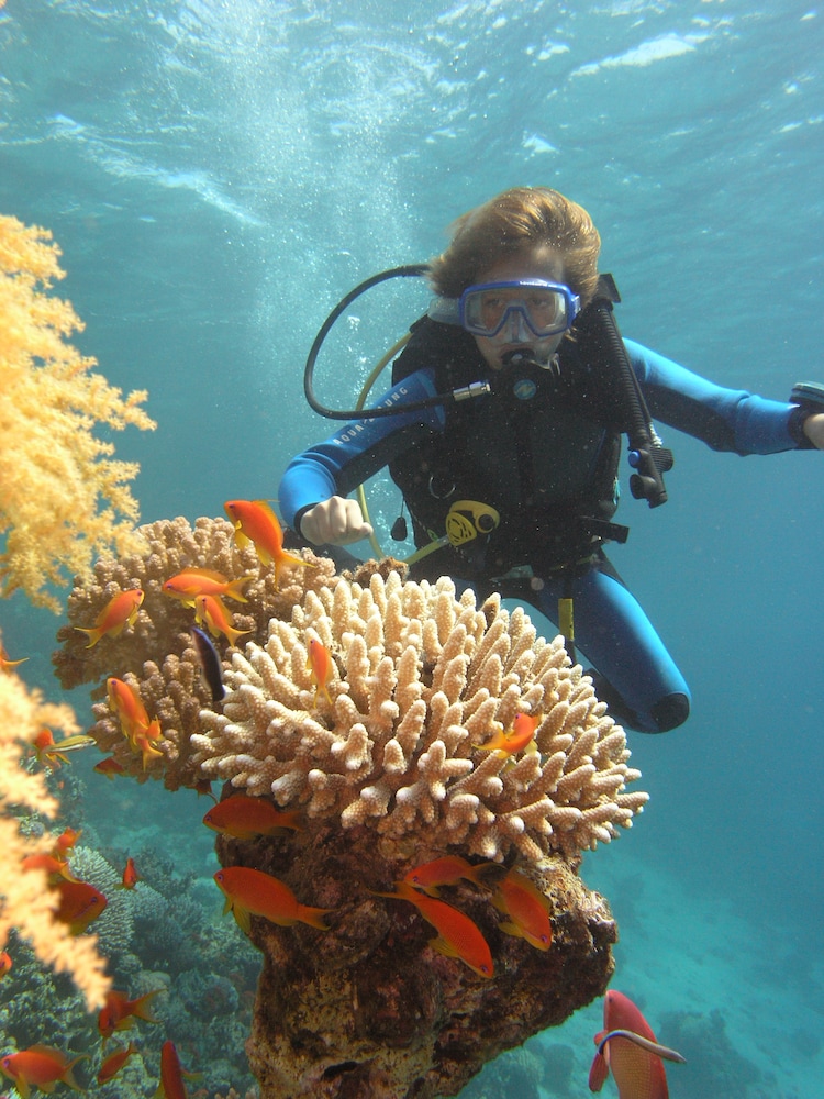 Swiss Inn Resort Dahab 40/70