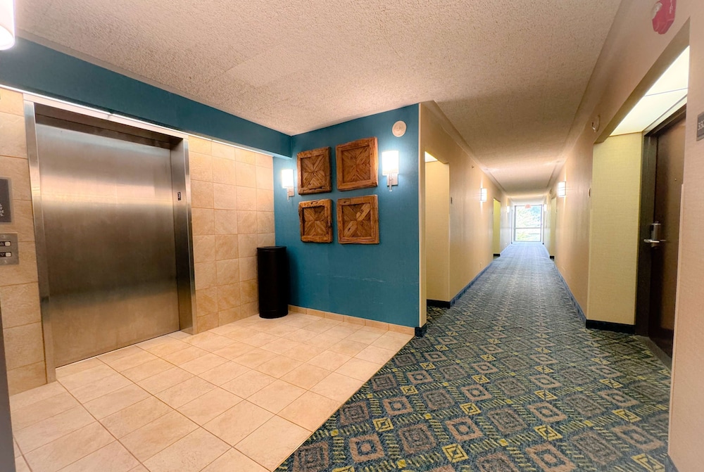 Heritage Inn & Suites St. Louis/Fenton, Trademark by Wyndham 34/60