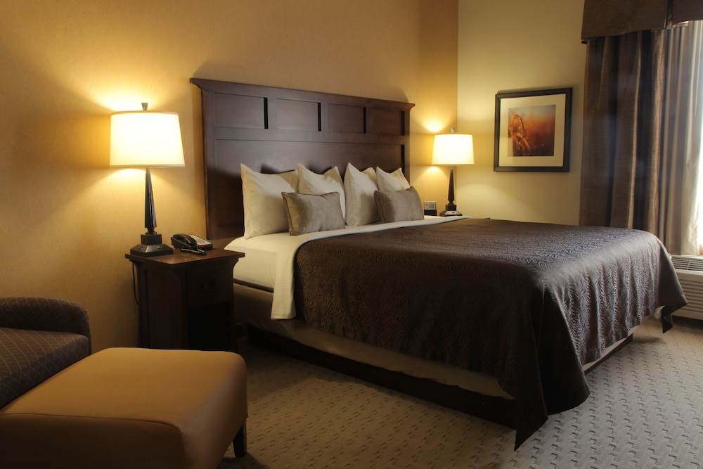 Teddy Apos S Residential Suites Watford City 16/56