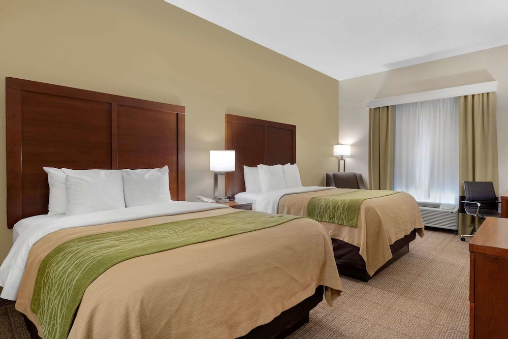 Comfort Inn and Suites Port Arthur Port Neches 11/33