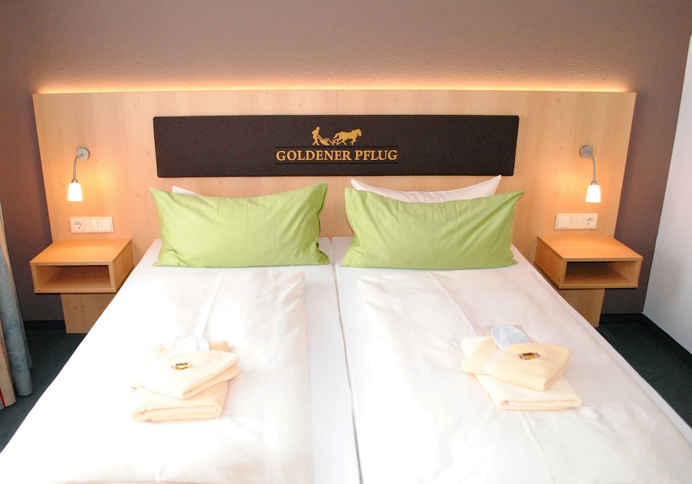Landgasthof Goldener Pflug 20/54