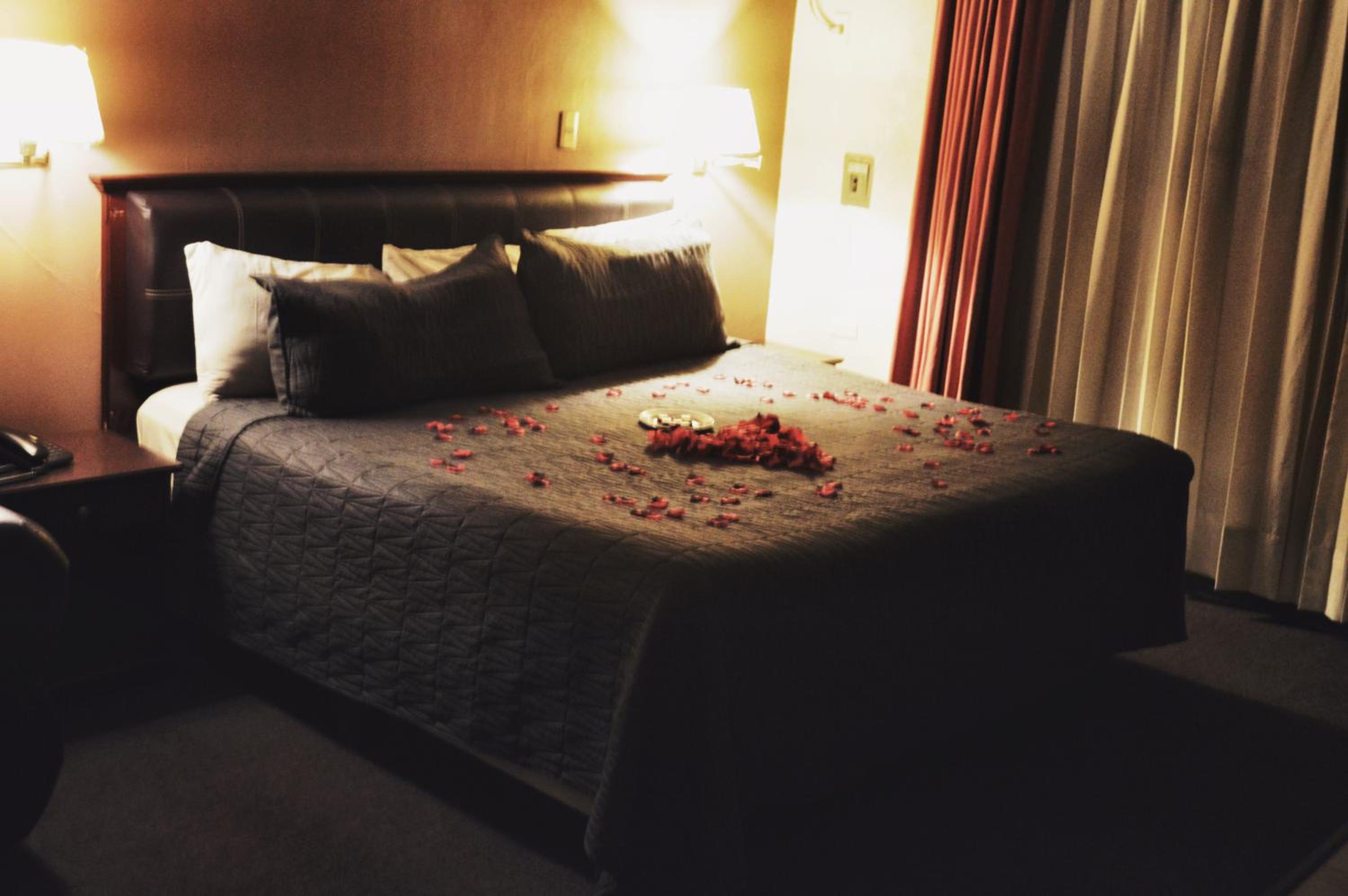 Hotel Flamingo Kristal 15/50