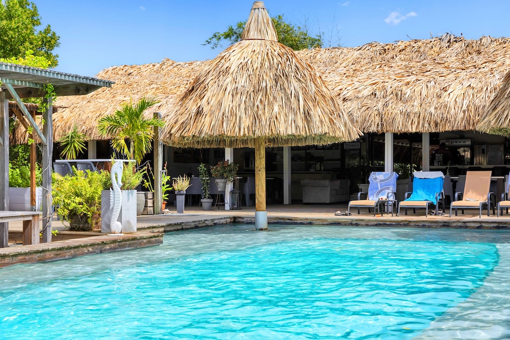 Red Palm Village 42/50