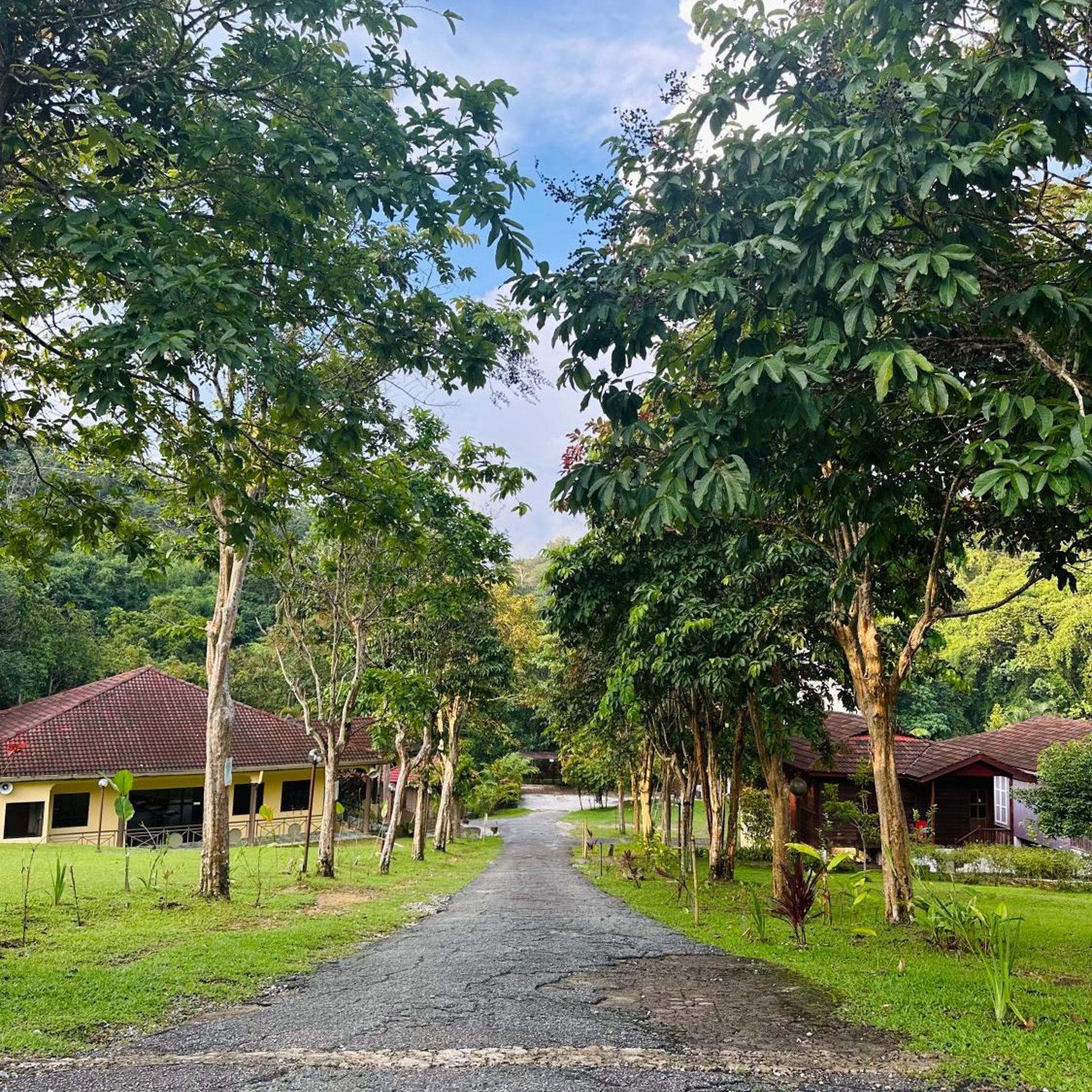 LiLLA Hilltop Retreats 44/50