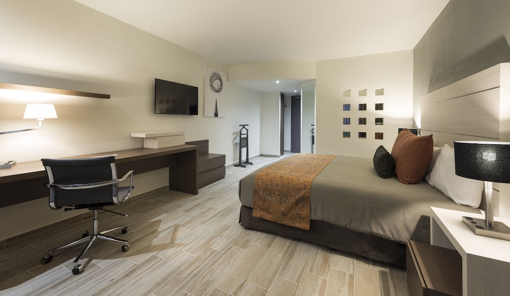Real Inn San Luis Potosi 14/45