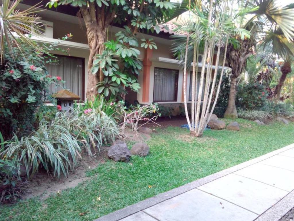 Ijen View Hotel and Resort 38/50
