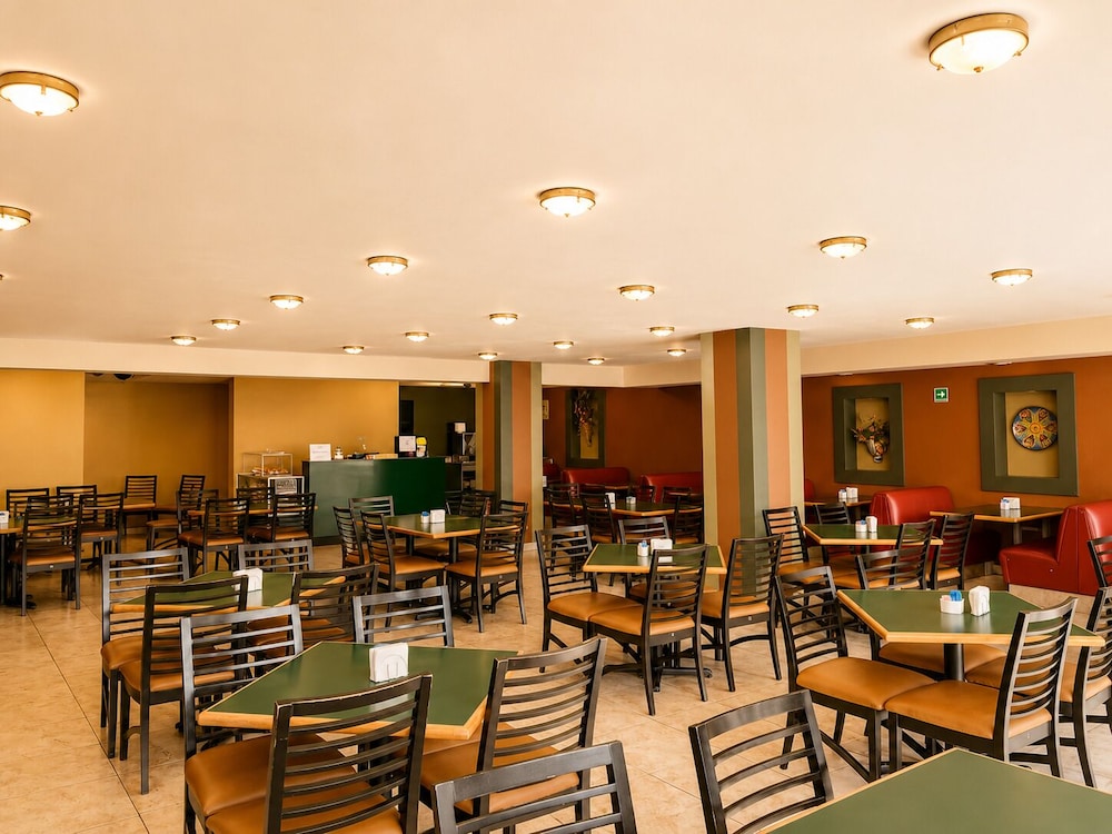Hotel Son Mar Monterrey Centro 42/54
