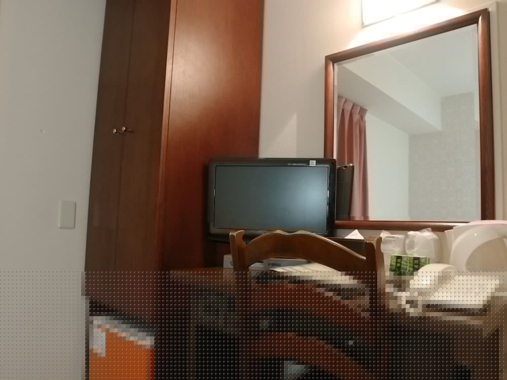 Hamamatsu Station Hotel 20/25